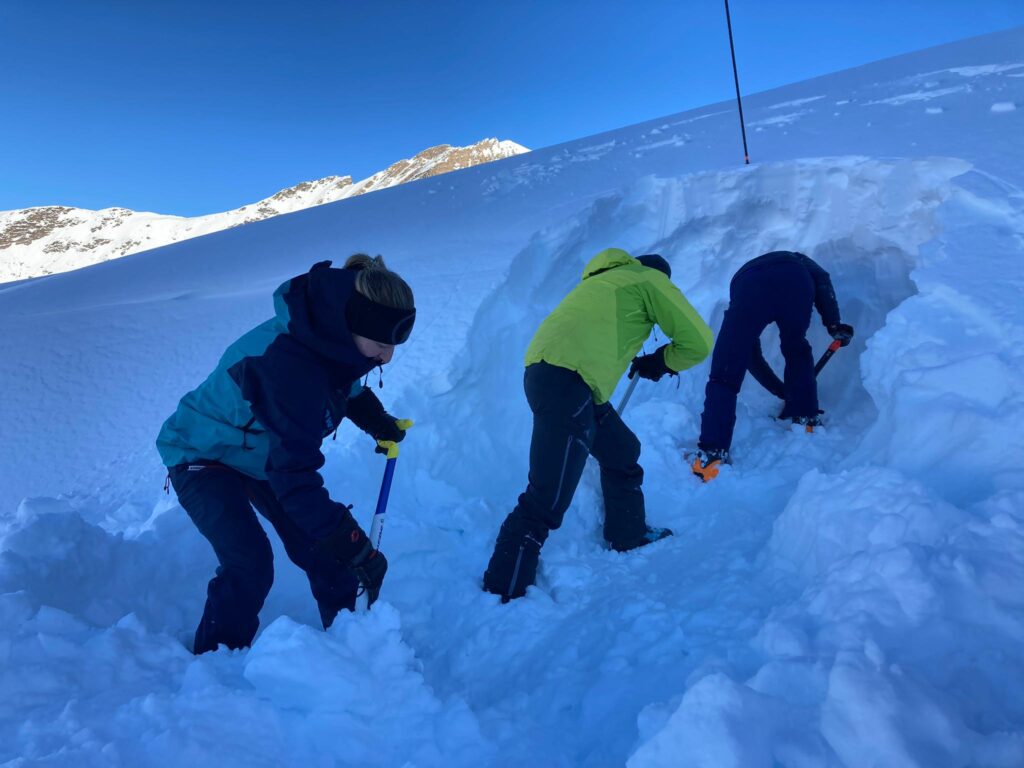 pelletage en u nico simon 2