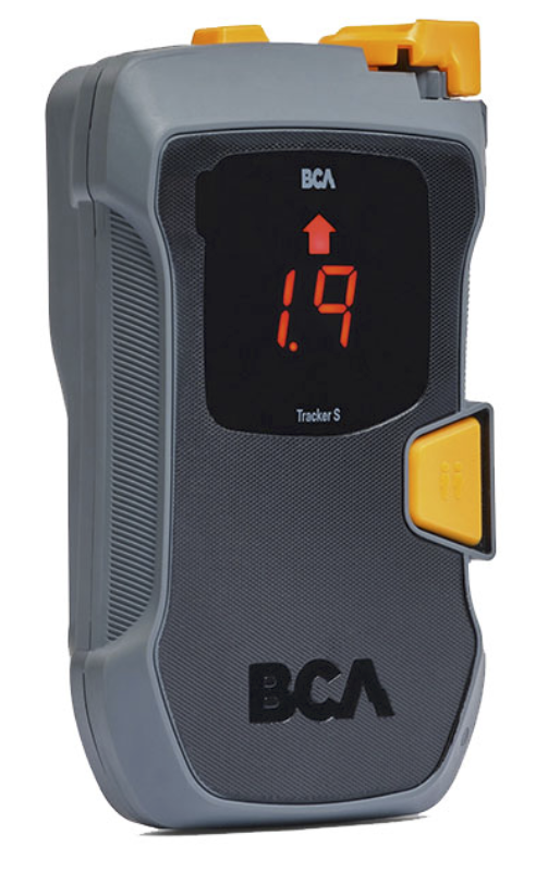 BCA S