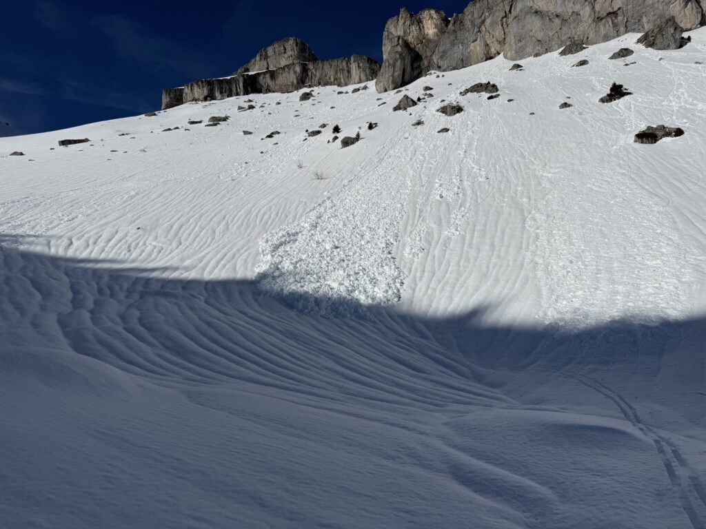 img 9505